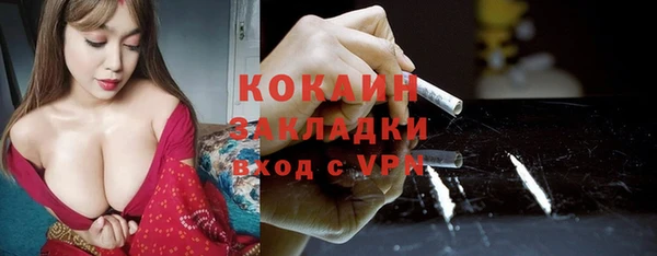 МДПВ Каменка
