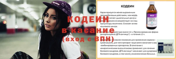 МДПВ Каменка