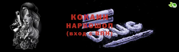 МДПВ Каменка