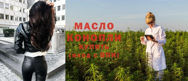 МДПВ Каменка