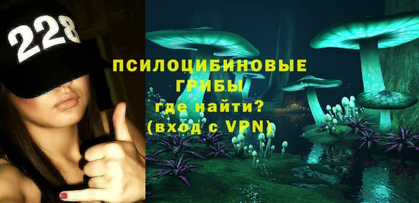 МДПВ Каменка