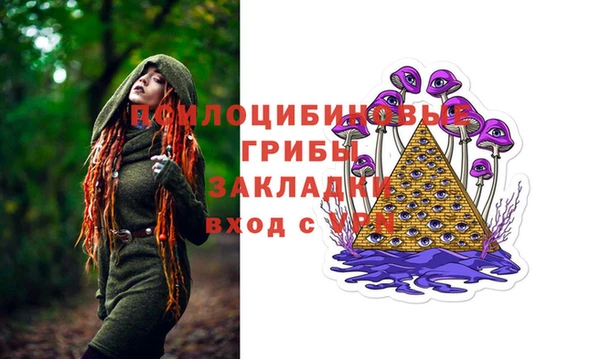 МДПВ Каменка