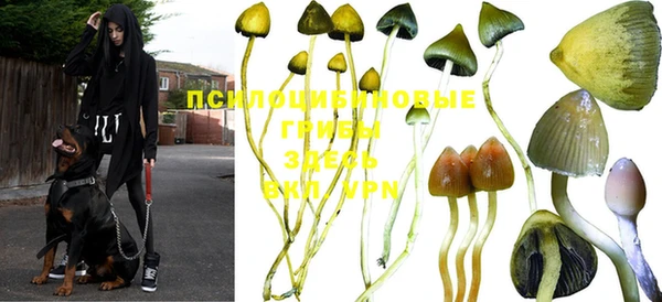 МДПВ Каменка
